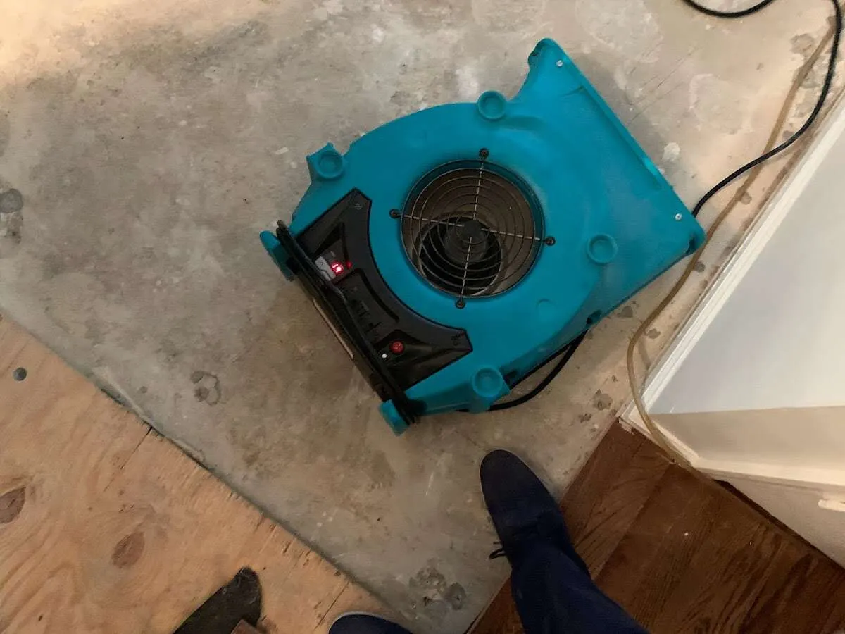 Air mover drying subfloor during Commercial Water Damage Restoration in Harriman