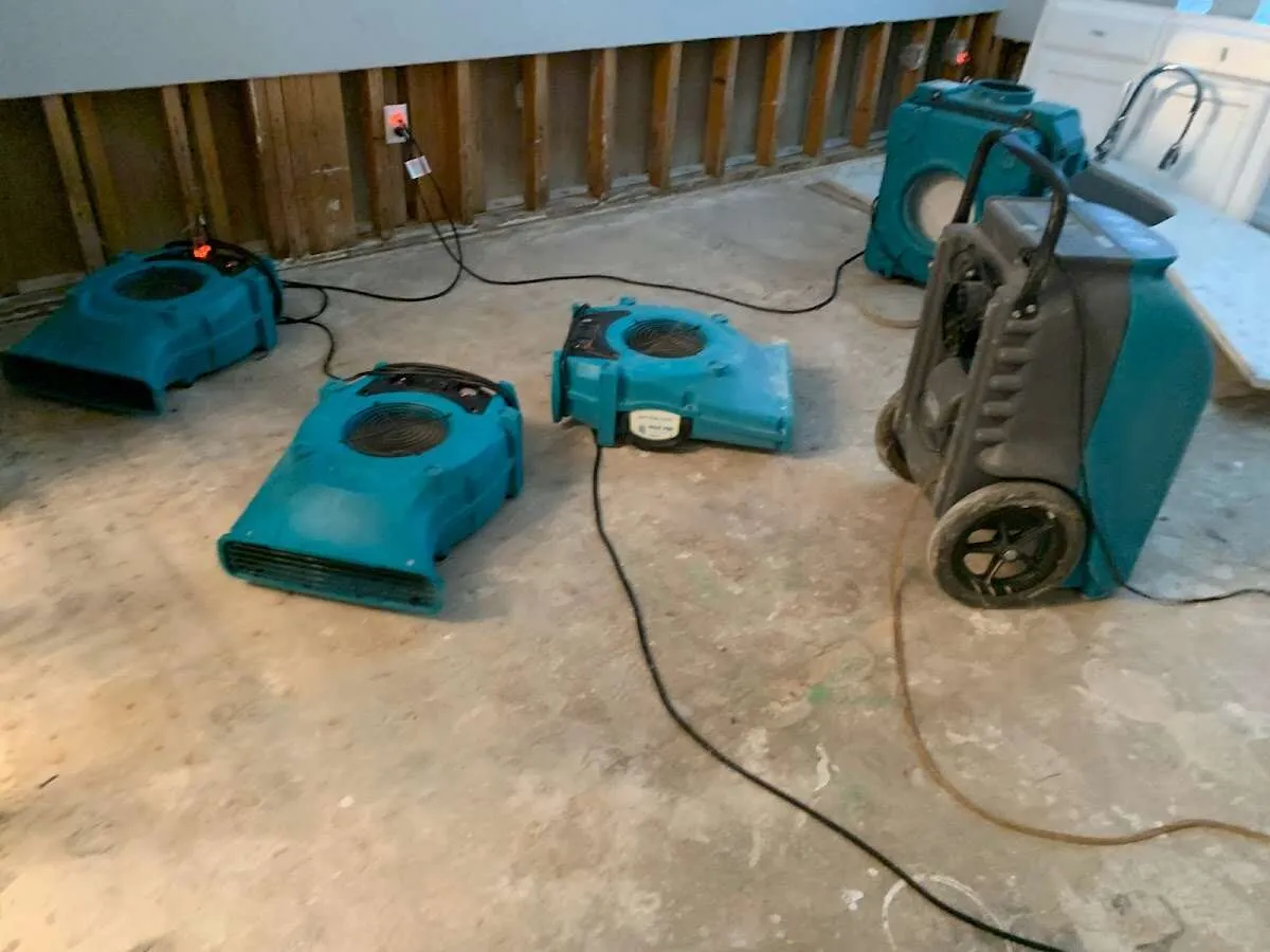 Mold Remediation & Removal in Harriman, TN
